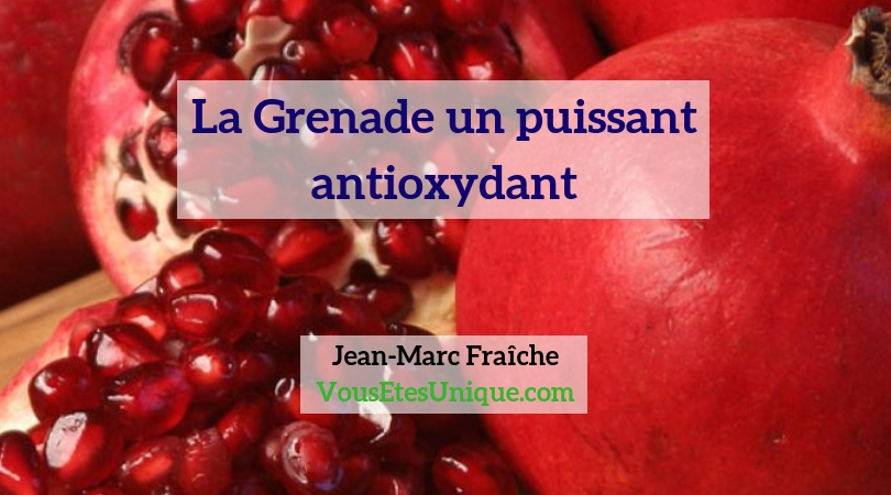 Grenade-un-puissant-antioxydant-Jean-Marc-Fraiche-Vousetesunique