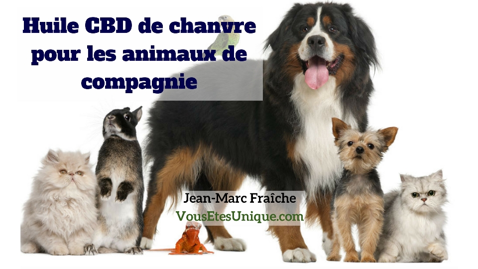 Huile-CBD-Chien-Chat-Animaux-de-compagnie-Jean-Marc-Fraiche-HB-Naturals-Hemp-Herbals