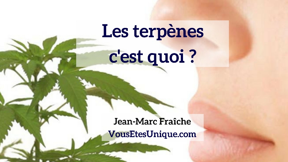 Les-Terpenes-Jean-Marc-Fraiche-VousEtesUnique