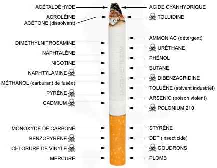 chanvre-constituants-cigarette-Jean-Marc-Fraiche-VousEtesUnique