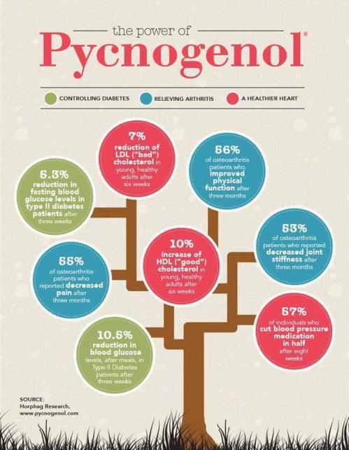 pycnogenol-effets-Pycnogenol-StemLife-Jean-Marc-Fraiche-VousEtesUnique-Phyto-Market.com