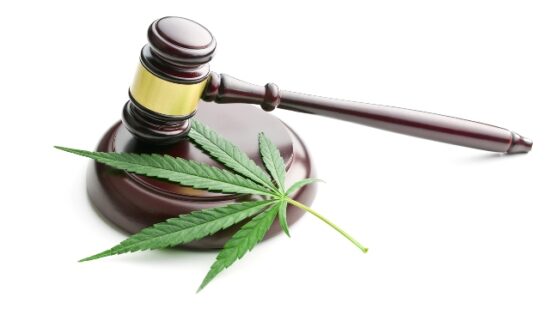 Cannabis-lois-legal-CBD-Jean-Marc-Fraiche-OsezGagner.com_