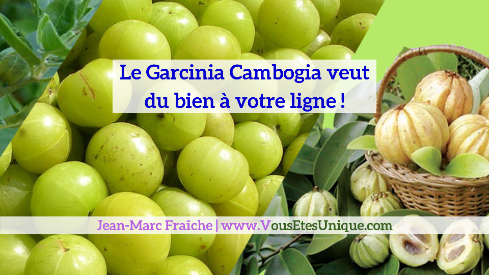 Le Garcinia Cambogia Garcinia-Cambogia-Jean-Marc-Fraiche-VousEtesUnique.com