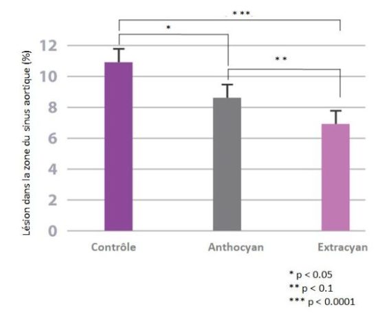 Santecardio-extracyan-FR-Jean-Marc-Fraiche-VousEtesUnique.com Santecardio-extracyan-FR-Jean-Marc-Fraiche-VousEtesUnique.com