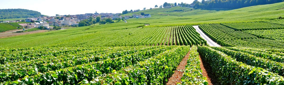 Travail-a-Domicile-Champagne-Ardenne-Jean-Marc-Fraiche