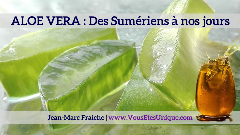 aloe-vera-sumeriens-a-nos-jours-Jean-Marc-Fraiche-VousEtesUnique.com